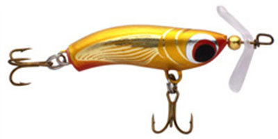 Fizz---Banger-gold Fizz---Banger-gold