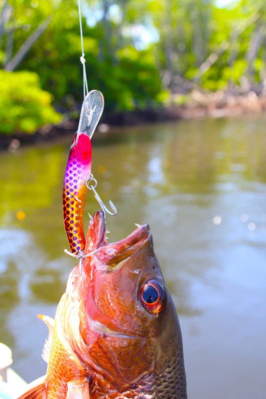 Pic. Andrew McGovern Taylormade Lures