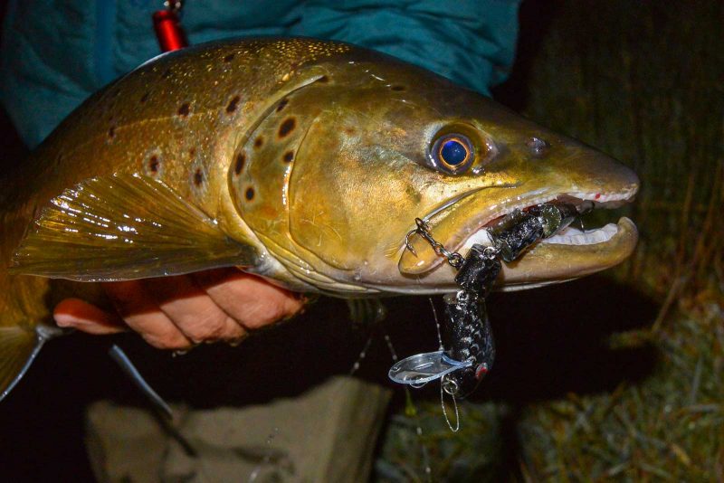 Pic. Andrew McGovern Taylormade Lures