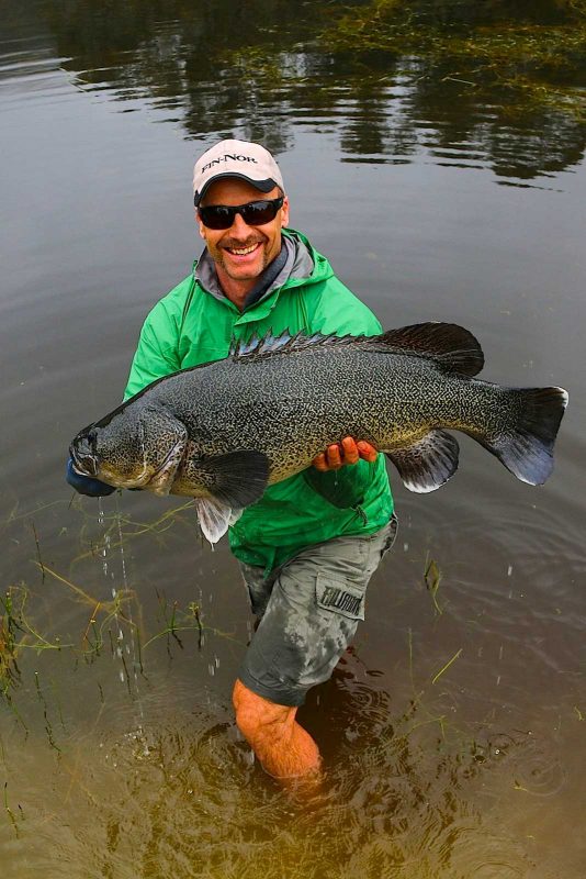 Pic. Andrew McGovern Taylormade Lures