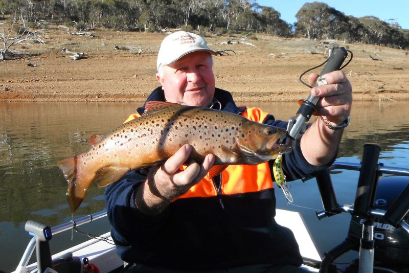 Taylormade Lures