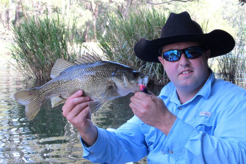 Taylormade Lures