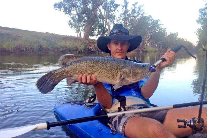 Taylormade Lures