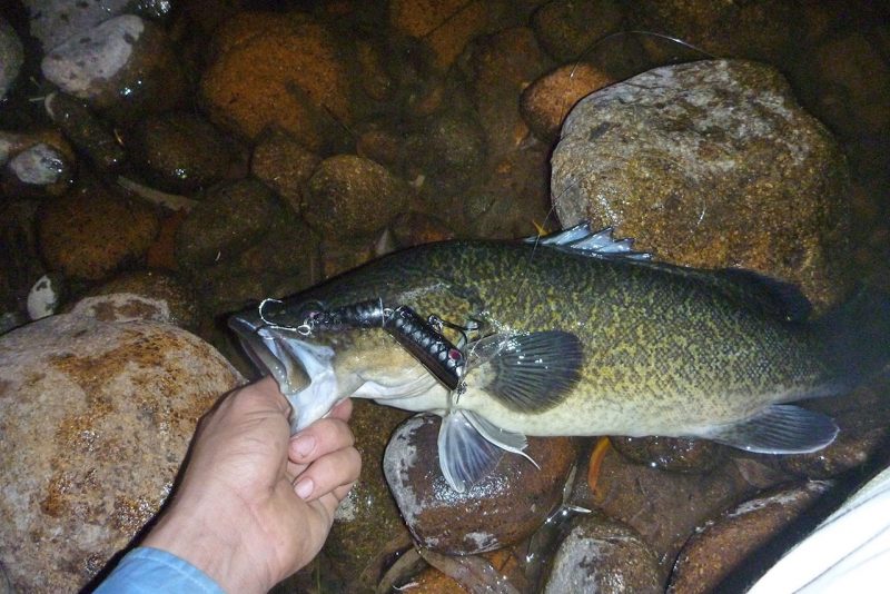 Taylormade Lures