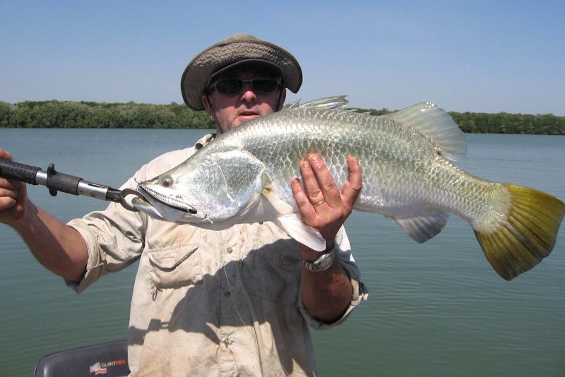 Taylormade Lures