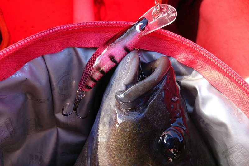 Taylormade Lures
