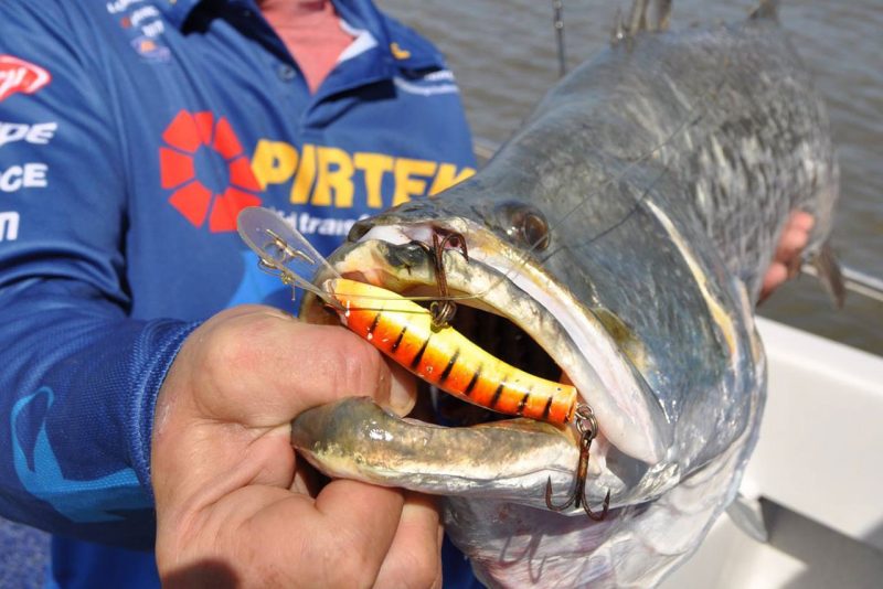 Taylormade Lures