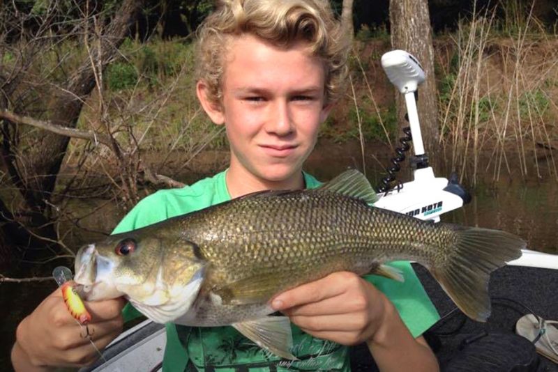Taylormade Lures