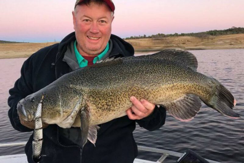 Taylormade Lures