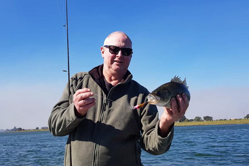 Taylormade Lures