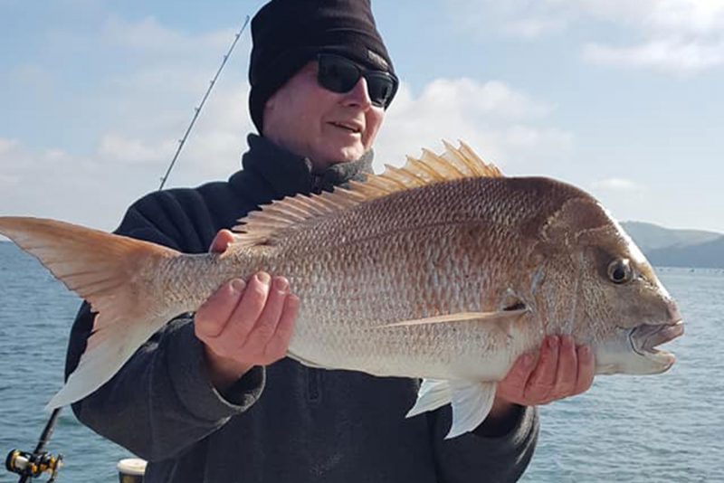 Taylormade Lures