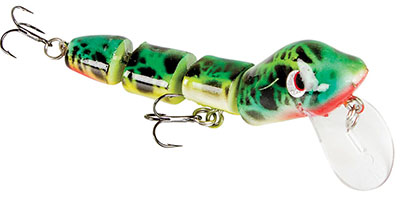 jimmy lizard_swampfrog_hi-res jimmy lizard_swampfrog_hi-res